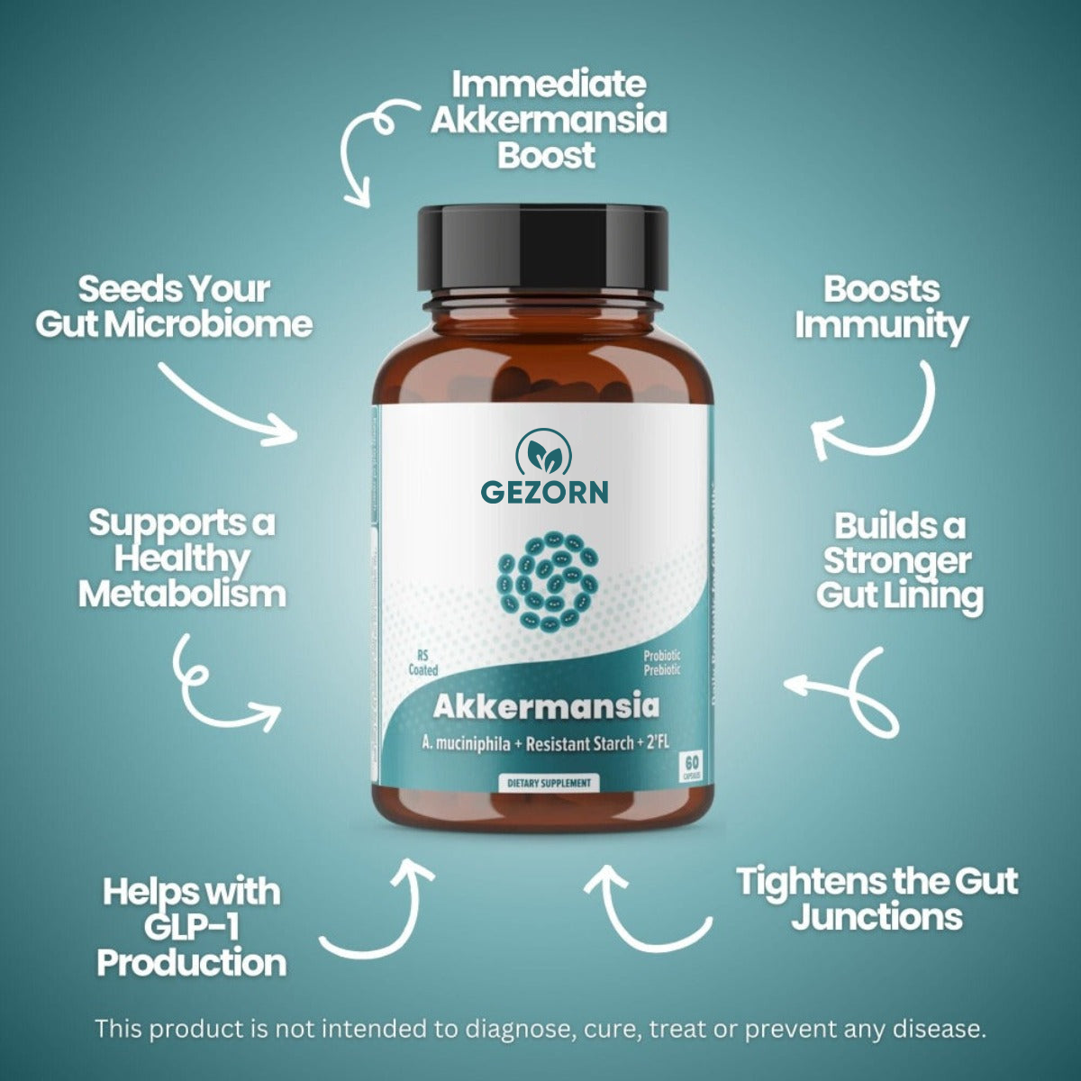 GEZORN Akkermansia muciniphila Daily Probiotic with PureHMO Prebiotic for Weight Management